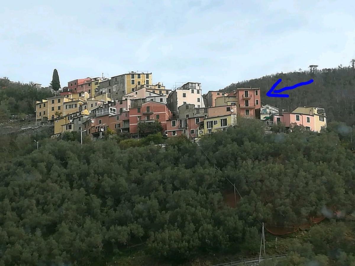 Casa Luna Rossa Levanto Eksteriør billede